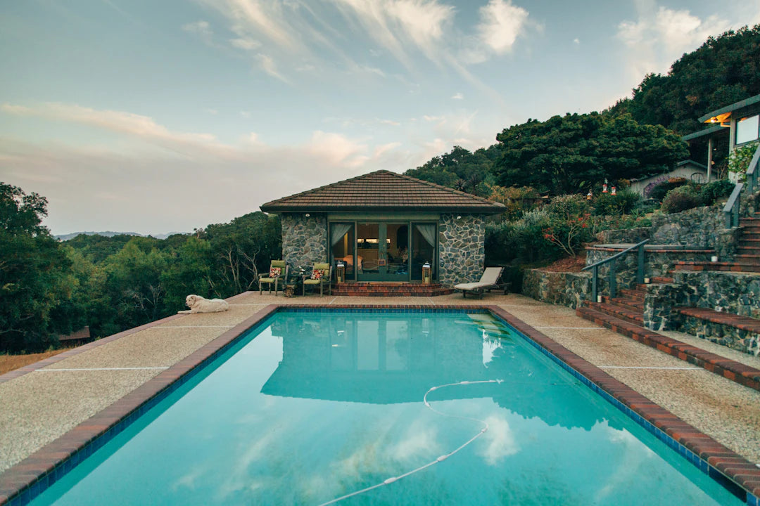 Host a Splashing Success Tips for Home Pool Tournaments
