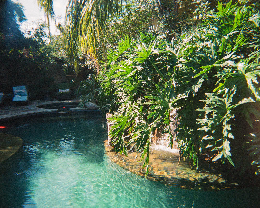 Transform Your Backyard with a Swim Spa Oasis