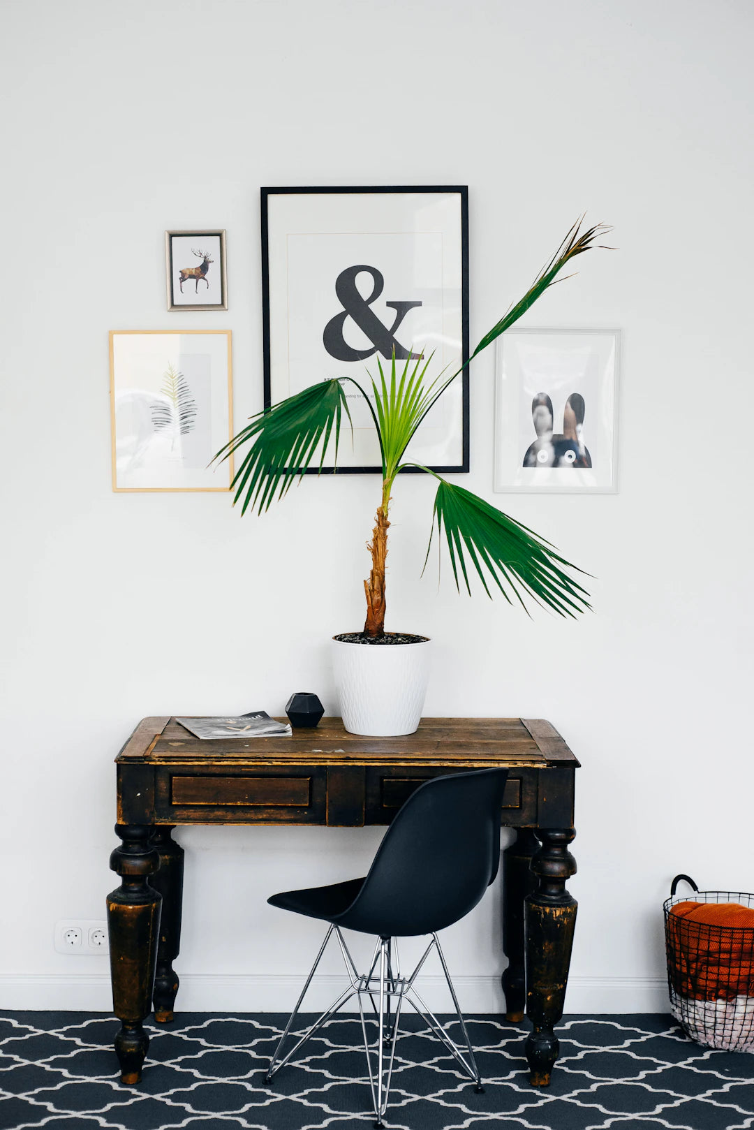 Find Your Perfect Dartboard for Home Play