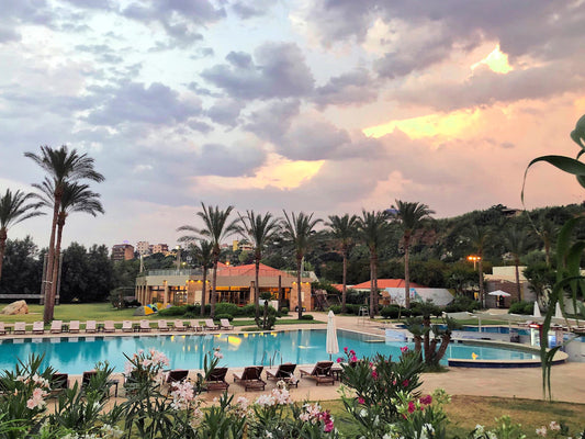 Swim Spas vs Traditional Pools Your Ideal Choice Awaits