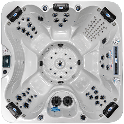 Platinum Series Laguna (93 jets)